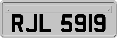 RJL5919