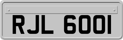 RJL6001