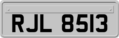 RJL8513