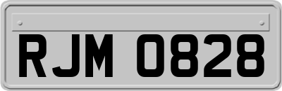 RJM0828