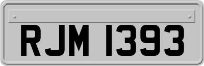 RJM1393