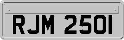 RJM2501