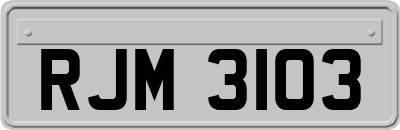 RJM3103