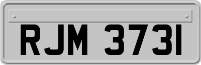 RJM3731