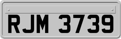 RJM3739