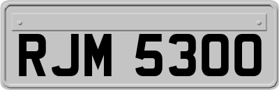 RJM5300