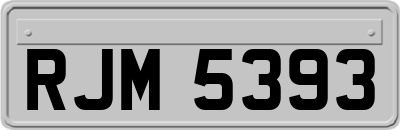 RJM5393