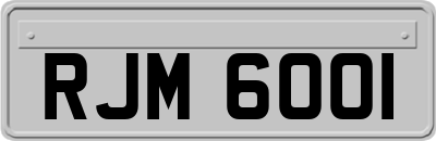 RJM6001