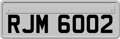 RJM6002