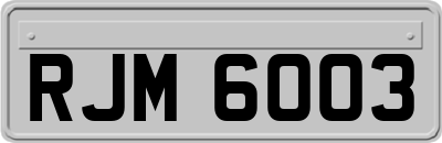 RJM6003