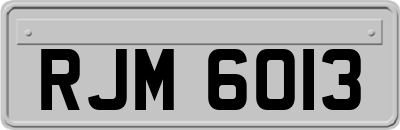 RJM6013