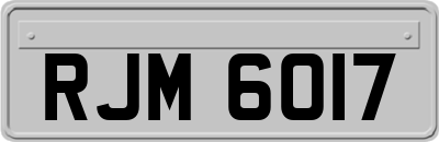 RJM6017