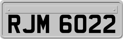 RJM6022