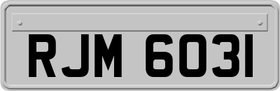 RJM6031