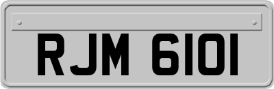 RJM6101