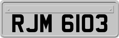 RJM6103