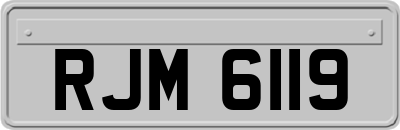 RJM6119