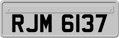 RJM6137