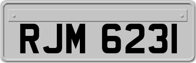 RJM6231