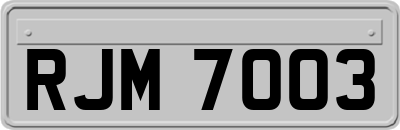 RJM7003