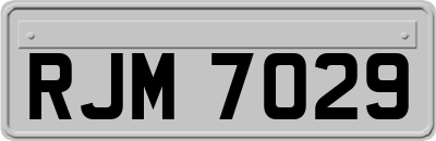 RJM7029