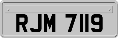 RJM7119