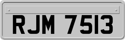 RJM7513