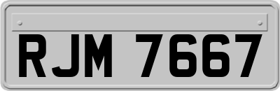 RJM7667