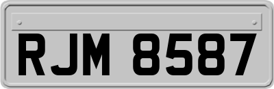 RJM8587