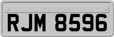 RJM8596
