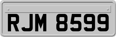 RJM8599