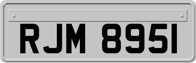 RJM8951