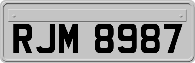 RJM8987