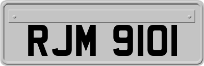 RJM9101