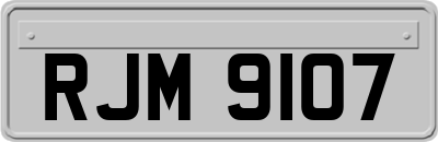 RJM9107