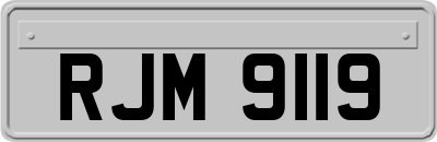 RJM9119