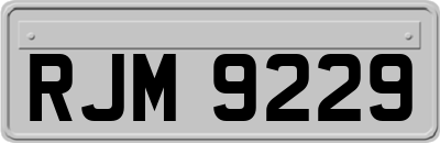 RJM9229