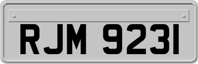 RJM9231