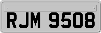 RJM9508