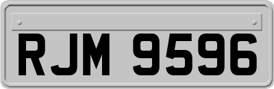 RJM9596