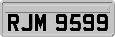 RJM9599