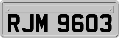 RJM9603