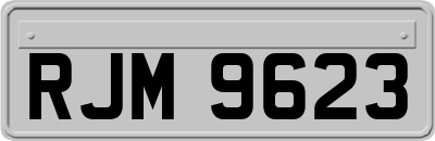 RJM9623