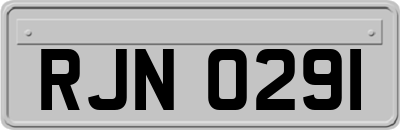 RJN0291