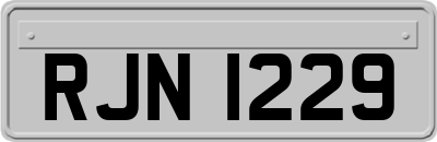 RJN1229