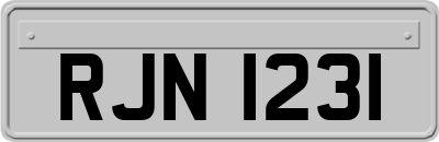 RJN1231