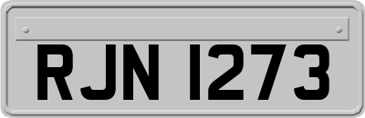 RJN1273