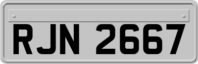 RJN2667