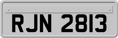 RJN2813