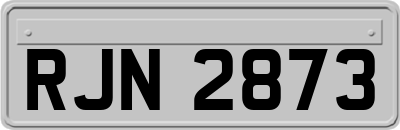 RJN2873